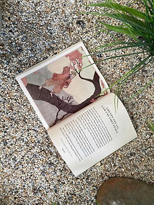 Truyện Cổ Nhật Bản - Truyện Dân Gian Về Yêu Quái Và Phép Thuật