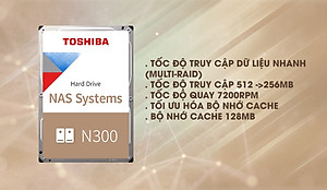 Ổ cứng Nas Toshiba N300 Hàng Chính Hãng