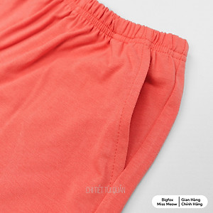 Đồ bộ cộc tay bé gái Bigfox Miss Meow size đại mùa hè vải cotton kiểu Hàn Quốc in Flower Power cỡ 3-11 tuổi 25kg 30kg