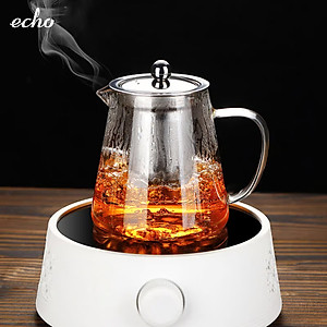 Ấm pha trà thủy tinh chịu nhiệt kèm lõi lọc Inox Echo Japan 650ml