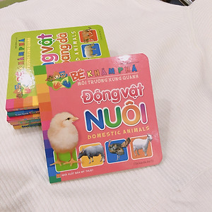 Sách: Combo Sách Bé Khám Phá Môi Trường Xung Quanh - Trọn Bộ