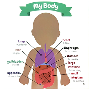 Sách Nhà Sinh Hóa Tương Lai: My Doctor's Visit - Cơ Thể &amp; Sức Khỏe