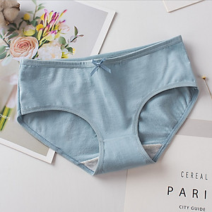 COMBO 10 QUẦN LÓT NỮ CAO CẤP, QUẦN CHIP CHẤT LIỆU VẢI COTTON NGĂN MÙI, KHÁNG KHUẨN THẤM HÚT MỒ HÔI L-2970