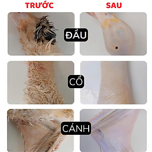 Máy Nhổ Lông Gà Vịt Tích Điện Cầm Tay Cao Cấp: Động Cơ Kép, Siêu Tiện Lợi