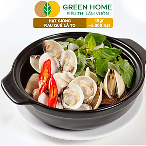 Hạt Giống Rau Quế Greenhome, Gói 10gr~5000 hạt, Húng Quế, Dễ Trồng Quanh Năm, Nảy Mầm Cao, Thu Hoạch Nhanh, Năng Suất Cao G07