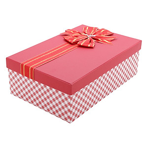 Hộp quà Chữ nhật C216 - 29,5 x 19,5 x 9,5cm - Giao màu ngẫu nhiên