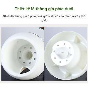 Chậu tự tưới MONROVIA I0 dành cho hoa, cây cảnh, trang trí nhà cửa, văn phòng