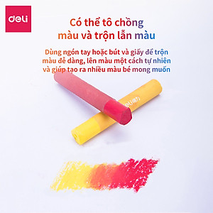 Bút Sáp Dầu Chuyên Nghiệp Deli - Hộp Giấy - 24/36 Màu - 72087 / 72088