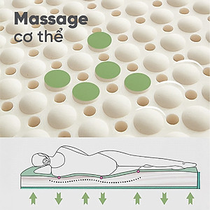  Nệm Cao Su Thiên Nhiên Vạn Thành Unique Plus