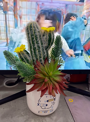 Chậu sen đá trang trí - Cây giả, hoa lụa Decor trang trí nhà cửa.