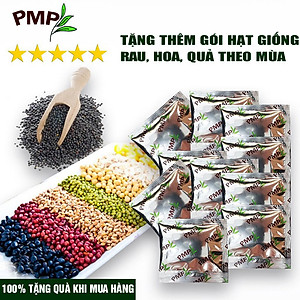 Phân SOYMIC V PMP Siêu Phân Bón Ủ Vi Sinh Từ Đậu Nành, Trứng, Chuối, Humic, Vi Lượng Cho Rau Sạch 1000ml