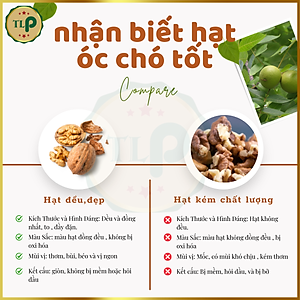 NHÂN HẠT ÓC CHÓ TÂN LỘC PHÁT HŨ 350G THƠM NGON BỔ DƯỠNG