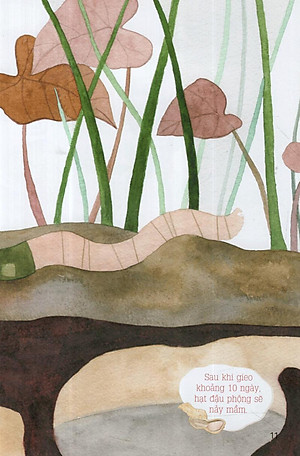 Sách Từ Những Hạt Mầm: Vườn Đậu Của Giun