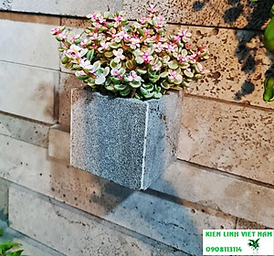 Chậu vuông 10cm trồng cây cảnh bằng đá ong xám tự nhiên, Chậu trồng cây treo tường, chậu đá ong xám