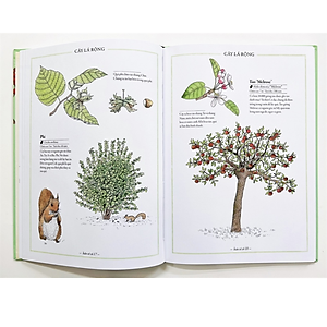 Sách Bách khoa thư cho cả nhà - Thế giới cây cối bằng tranh