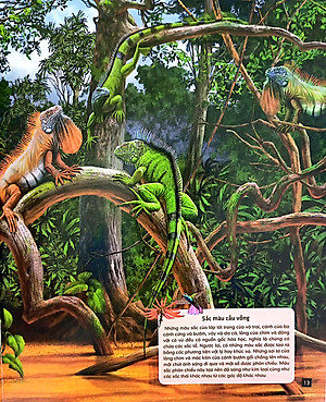 Tủ Sách Thế Giới Động Vật - Kết Đôi Và Sinh Sản (Hình Minh Họa 3D)