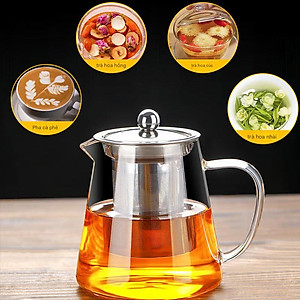 Ấm pha trà thủy tinh chịu nhiệt kèm lõi lọc Inox Echo Japan 650ml