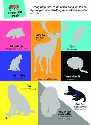 Sách Dán hình nhận biết động vật - Động vật hoang dã