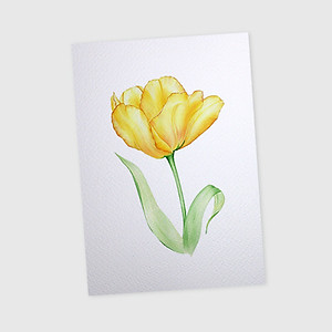 Giấy vẽ màu nước A5 giấy cao cấp có vân đẹp màu trắng sang, dòng giấy chuyên dụng chất giấy dày định lượng 260gsm nhập từ Ý 15 tờ TI599 Green Art- Hàng chính hãng