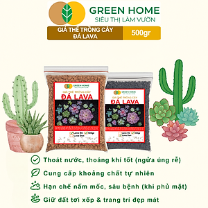 Đá Nham Thạch Lava GreenHome, Bao 500GR, Giá Thể Cho Thủy Sinh, Bonsai, Xương Rồng Màu Đỏ, Đen, Sạch Bụi