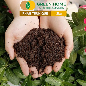 Phân Trùn Quế Greenhome, Bao 2kg, Dinh Dưỡng Hữu Cơ, Không Mùi, Tốt Cho Lan, Bonsai, Rau, Cây Ăn Trái