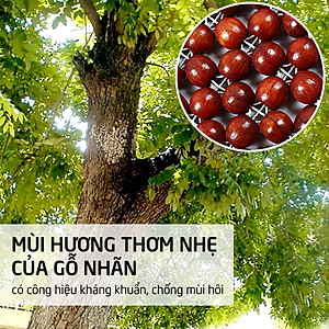 Miếng Đệm Hạt Gỗ PaKaSa Massage Ghế Ô TÔ , Xe Hơi , Ghế Văn Phòng KT 45 x 45 cm - Chính Hãng