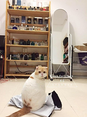 Kệ Gỗ Cao Su 5 Tầng Rộng 80cm (TN)