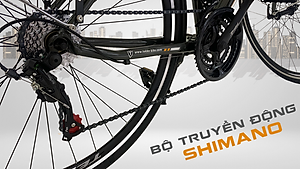 Xe đạp Tekko thể thao City C300 Khung nhôm cao cấp - Phù hợp với người cao từ 1m45 trở lên