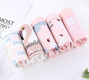 5 quần lót nữ tam giác cotton hình thiên nga
