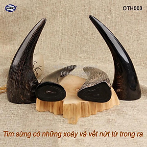 Chóp sừng trâu vật phẩm phong thủy (OTH003) HOT nhất của năm trâu vàng 2021 - giàu sang - phú quý 