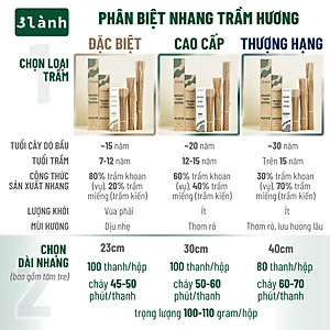 Nhang Trầm Hương 3 Lành Đặc Biệt Cao Cấp Thượng Hạng 23-30-40cm, 100gr Tự Nhiên 100% Thờ Cúng