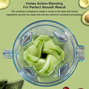 Máy xay sinh tố công nghiệp Biolomix A8800 3HP, 2200W, 2Lít - Hàng Nhập Khẩu