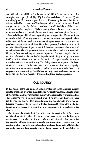 Sách Emotional Intelligence: Why It Can Matter More Than IQ