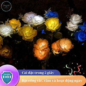Đèn hoa hồng năng lượng mặt trời ED04 SolaZ trang trí sân vườn, tự động phát sáng, 0 đồng tiền điện
