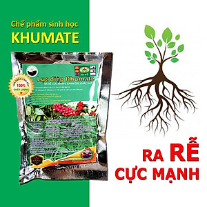 VƯỜN SINH THÁI - Phân bón siêu kích rễ KHUMATE - Đặc trị vàng lá do nghẹt rễ xoăn lá - Hạ phèn, giải độc hữu cơ