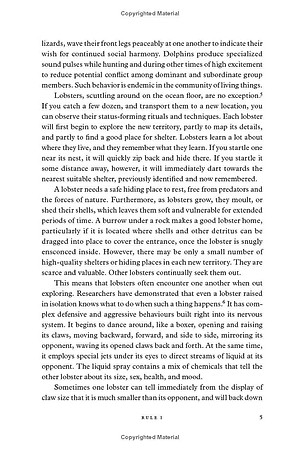 12 Rules for Life: An Antidote to Chaos