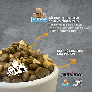 Thức Ăn Hạt Cho Chó Nutrience Subzero Có Hạt Thịt Tươi Bao 500g - Thịt Gà Tây, Cá Hồi, Cá Đại Dương, Rau Củ Và Trái Cây Tự Nhiên