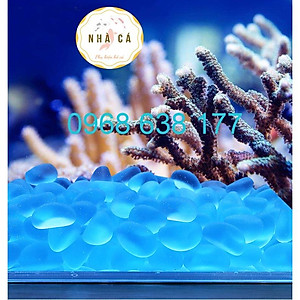 200g ĐÁ XANH PHỦ MỜ LÓT NỀN BỂ CÁ - ĐÁ THẦN KÌ - ĐÁ TRANG TRÍ HỒ CÁ