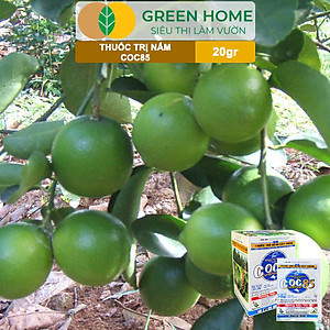 Thuốc Trị Nấm Cây Trồng Greenhome, Coc85 Wp, Gói 20gr, Trừ Đốm Lá Cho Hoa Hồng, Nấm Trên Kiểng Lá, Cây Cảnh, Cây Ăn Quả