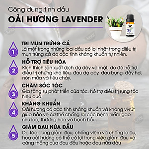 Combo Tinh Dầu Oải Hương Kobi (10ml) + Tinh Dầu Cam Ngọt Kobi (10ml) - Tinh Dầu Thiên Nhiên Nguyên Chất, Tinh Dầu Xông Phòng, Dùng Với Máy Xông Tinh Dầu Giúp Khử Mùi, Thơm Phòng Hiệu Quả