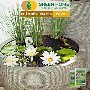 Phân Bón Hoa Sen Greenhome, Vỉ 24 Viên, Cây Thuỷ Sinh, Ngập Nước, Cho Hoa To, Hoa Đậm Màu, Lâu Tàn, Tốt Lá