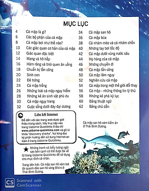 Sách Bách Khoa Tri Thức Về Khám Phá Thế Giới Cho Trẻ Em - Cá Mập (Tái Bản 2018)