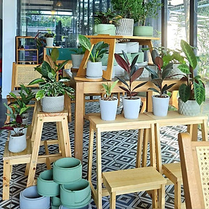 Chậu cây để bàn làm việc văn phòng, OnionDecor 15x11cm, Chậu Xi Măng Trụ Tròn Họa Tiết Vintage trồng sen đá, xương rồng, cây cảnh mini cement pots