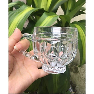 Bộ 6 Ly Thủy Tinh Có Quai Cầm Hàng Cao Cấp 180ML - HÀNG CHÍNH HÃNG MINIIN