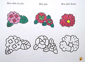 Sách Bàn Tay Nhỏ Vẽ Tranh - Thực Vật Phong Phú