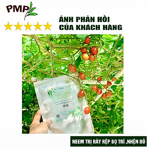 Dầu Neem Oil Hữu Cơ PMP Nguyên Chất Loại Bỏ Trĩ, Rệp, Nhện Đỏ, Nấm, Sâu Bệnh Cho Hoa Hồng, Rau Củ Green Neem 50ml-100ml