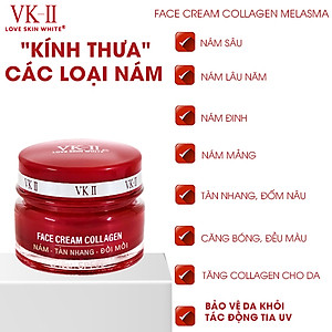 Kem Ngừa Nám - Tàn Nhang - Đồi Mồi VK II ( 10g/20g )