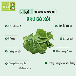 Bột cải bó xôi Dalahouse 60gr (mẫu mới gồm 20 tuýp tiện dụng)- Hữu cơ nguyên chất sấy lạnh - Đạt tiêu chuẩn Châu Âu