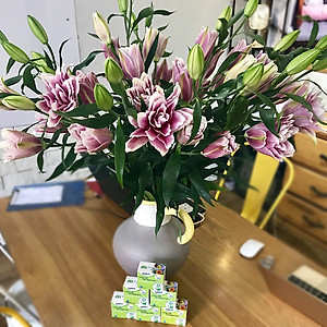 Bột Cắm Hoa Lily Tươi Lâu, Hiệu Longlife nhập khẩu Isarel (Bộ 30 gói)