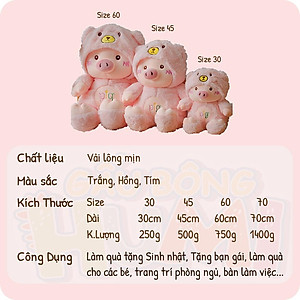 Gấu Bông Heo Cute Xịn Giá Rẻ Cute Dễ Thương Áo Bông Cao Cấp Size 30 - 70